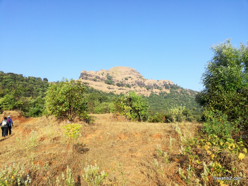 Madhu makarandgad